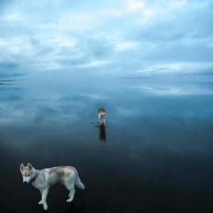 Meet your Posher, Rosalinda